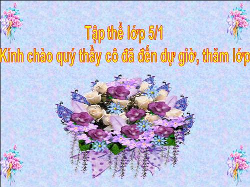 Ôn tập về tính chu vi, diện tích một số hình