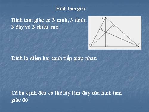 Diện tích hình tam giác