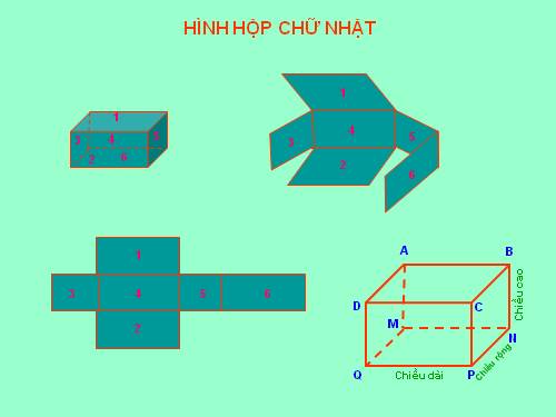 hinh hộp chũ nhật