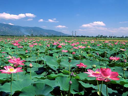 Trừ số đo thời gian