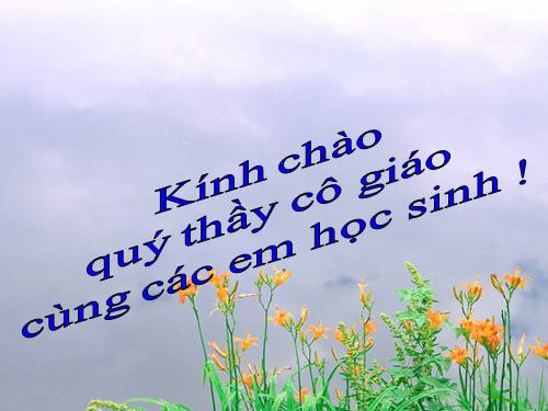 Các Bài giảng khác thuộc Chương trình Toán 5