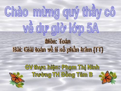 Giải toán về tỉ số phần trăm (tiếp theo)