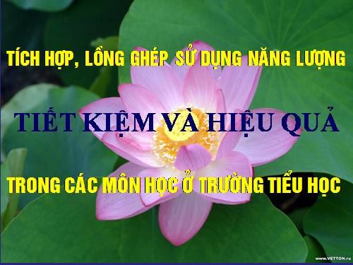 TÍCH HỢP, LỒNG GHÉP SỬ DỤNG NĂNG LƯỢNG TIẾT KIỆM VÀ HIỆU QUẢ  TRONG CÁC MÔN HỌC Ở TRƯỜNG TIỂU HỌC