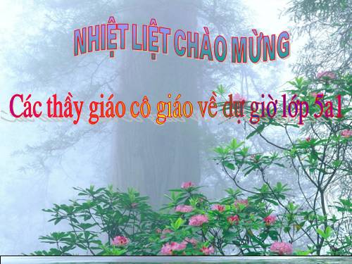 Hình tam giác