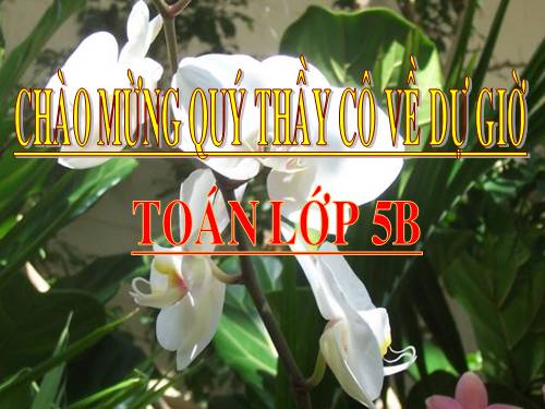 Các Bài giảng khác thuộc Chương trình Toán 5