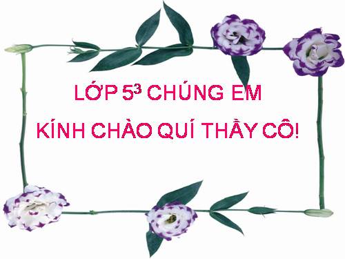 Các Bài giảng khác thuộc Chương trình Toán 5