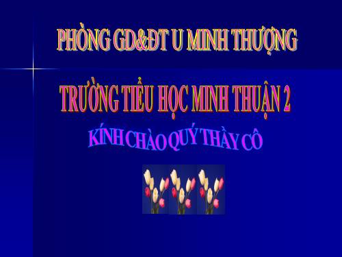 Diện tích hình tam giác