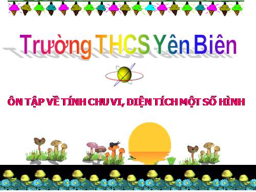 Ôn tập về tính chu vi, diện tích một số hình