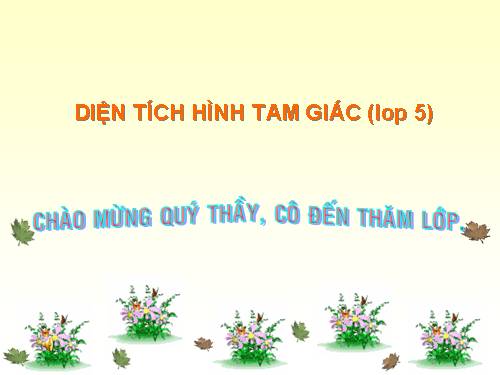 Diện tích hình tam giác