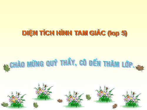 Diện tích hình tam giác