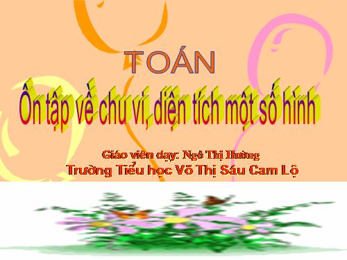 Ôn tập về tính chu vi, diện tích một số hình