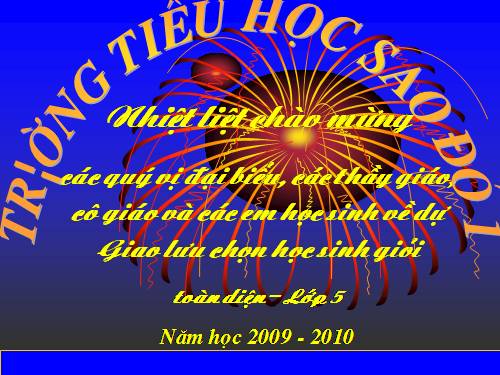 Giao lưu học sinh giỏi toàn diện SĐ1 năm học  2009-2010