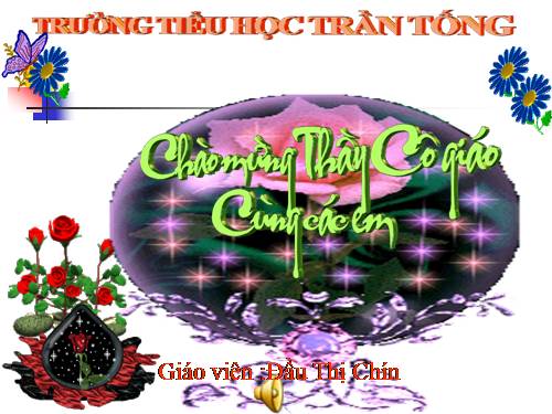 Diện tích hình tam giác