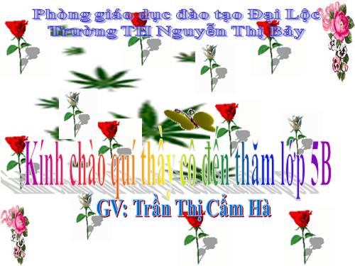 Diện tích hình tam giác