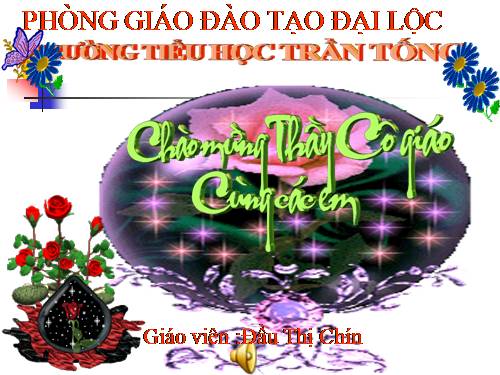 Diện tích hình tam giác