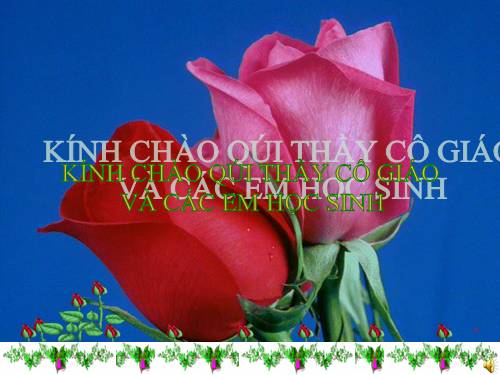 Các Bài giảng khác thuộc Chương trình Toán 5