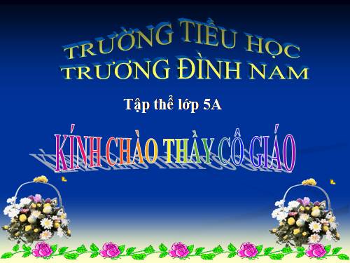 Tỉ số phần trăm