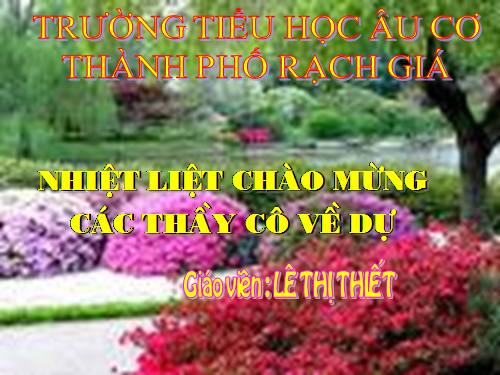 Diện tích hình tam giác