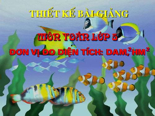 Đề - ca - mét vuông. Héc - tô - mét vuông