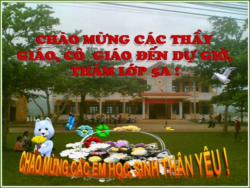 Các Bài giảng khác thuộc Chương trình Toán 5