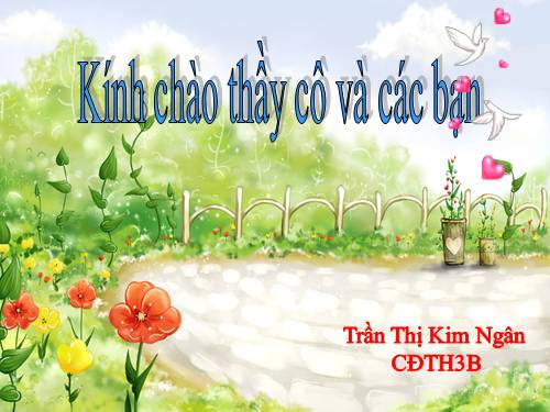 Các Bài giảng khác thuộc Chương trình Toán 5