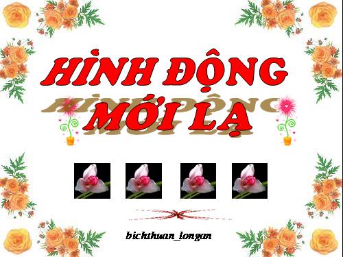 Hình động mới lạ