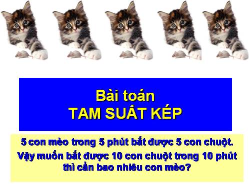 BÀI TOÁN TAM SUẤT KÉP