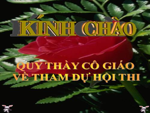 Diện tích xung quanh và diện tích toàn phần của hình lập phương