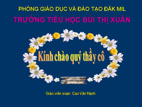 Diện tích hình thang