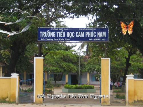 Luyện tập về tính diện tích (tiếp theo)