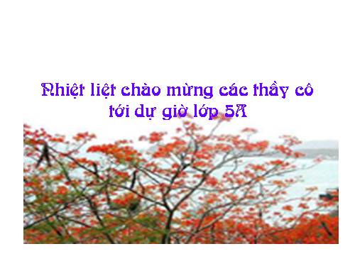 Chia một số tự nhiên cho một số thập phân