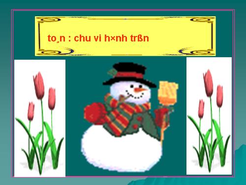 Chu vi hình tròn.