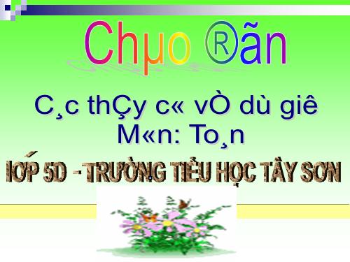 Diện tích hình tròn