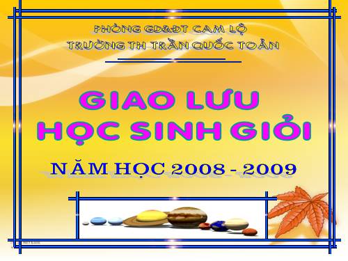 Giao lưu HSG cấp trường