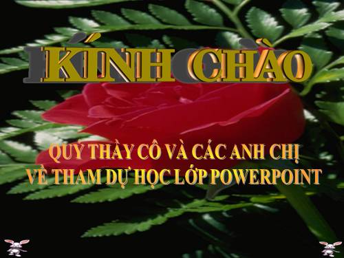 Diện tích xung quanh và diện tích toàn phần của hình hộp chữ nhật