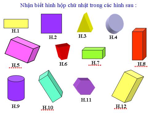 HĐ&TC TOÁN 5