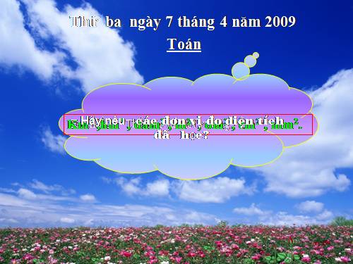 Ôn tập về đo diện tích