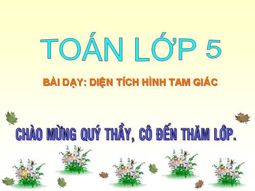 Diện tích hình tam giác