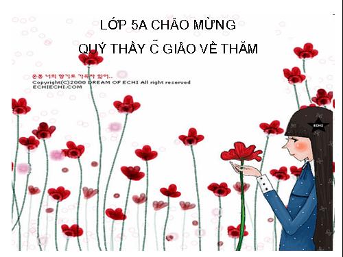 Giới thiệu biểu đồ hình quạt