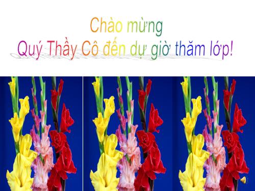 Giới thiệu biểu đồ hình quạt