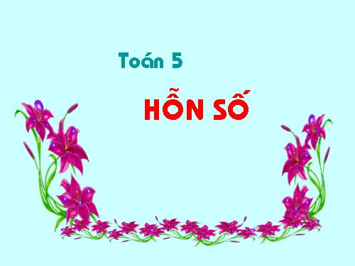 Hỗn số