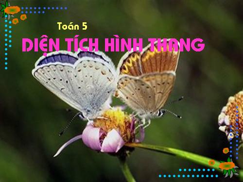 Diện tích hình thang