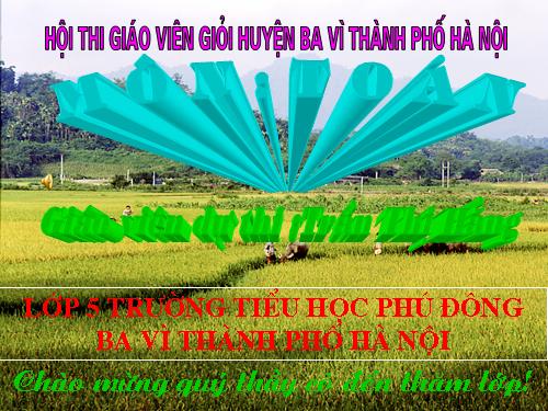 Giải toán về tỉ số phần trăm (tiếp theo)