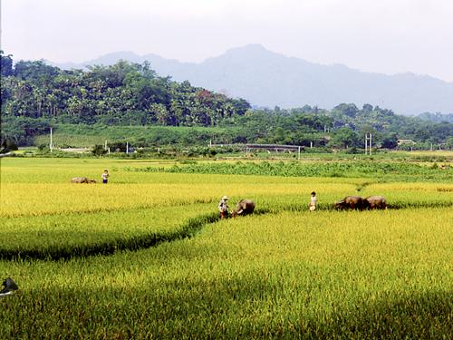 Số thập phân bằng nhau