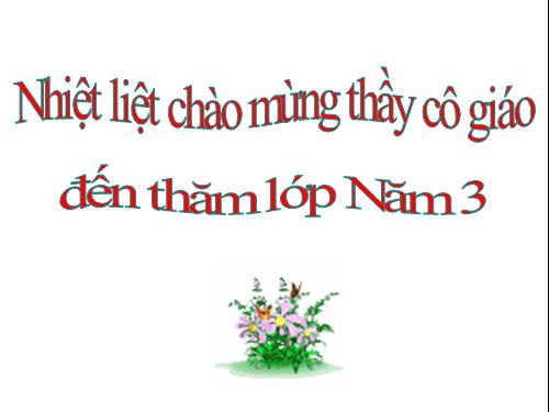 Diện tích hình tam giác