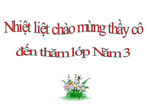 Diện tích hình tam giác