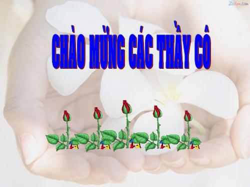 Viết các số đo độ dài dưới dạng số thập phân