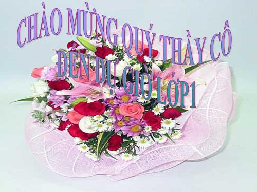 Các Bài giảng khác thuộc Chương trình Toán 5