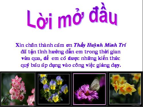 Diện tích hình tam giác