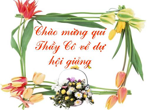 Các Bài giảng khác thuộc Chương trình Toán 5